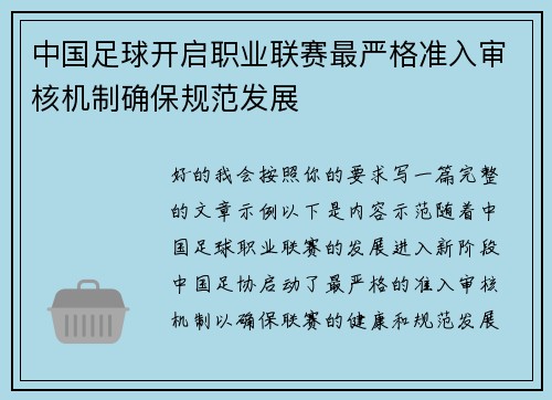 中国足球开启职业联赛最严格准入审核机制确保规范发展